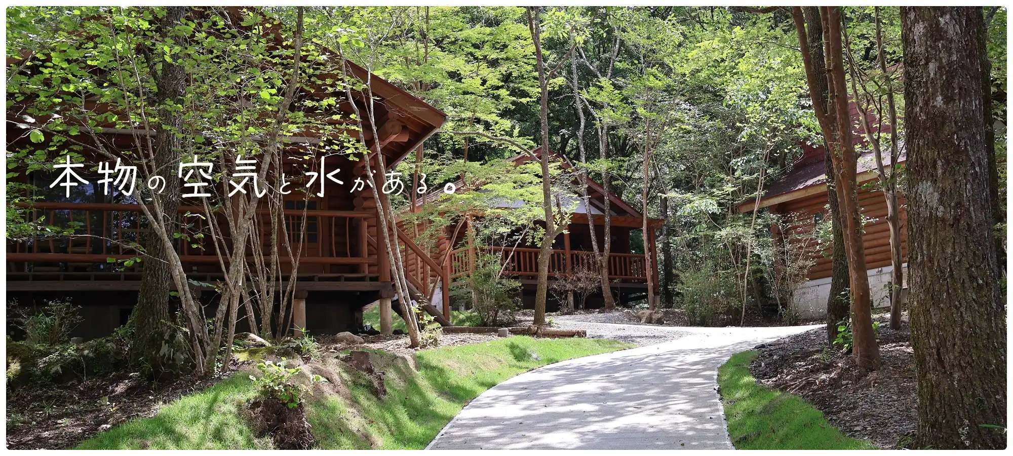 キャンプ場