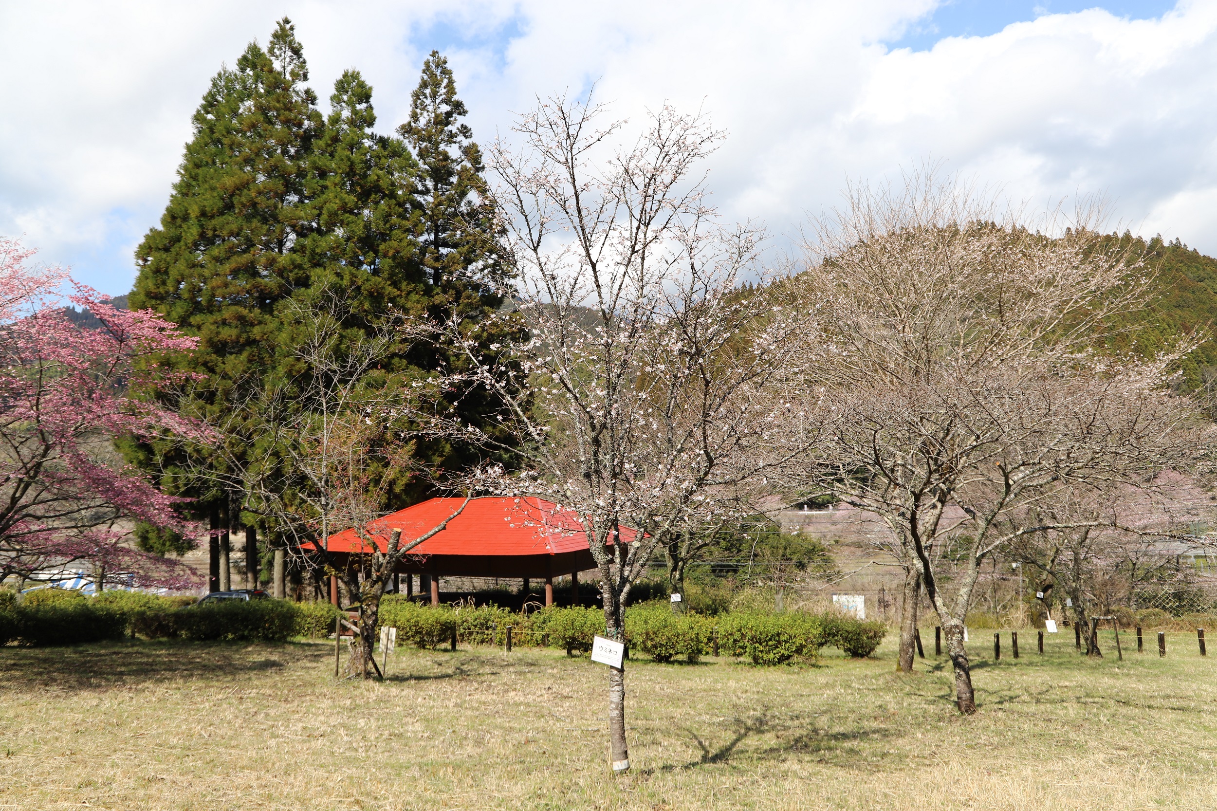 2026.3.19 ウミネコ全体