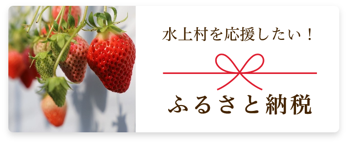 ふるさと納税