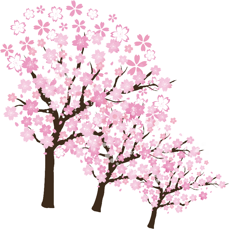 さくら