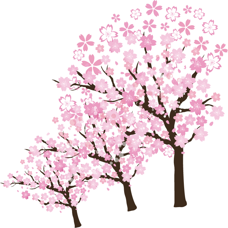 さくら