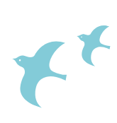 鳥のイラスト