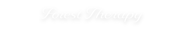 水上村森林セラピー