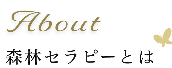 森林セラピーとは