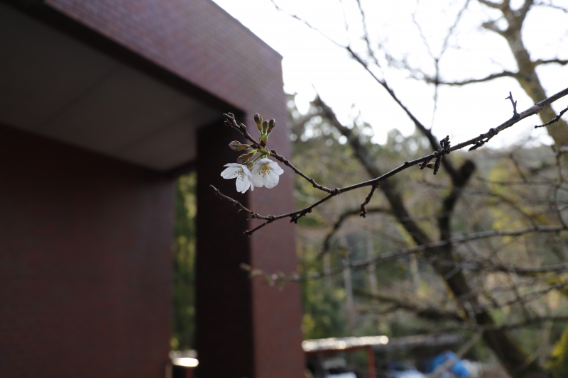 10171_filelib_ff7a7a8403abe98dd0c6dbb93b043d47