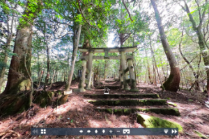 森林セラピー基地２合目の市房杉の写真の画像（別ウインドウで開きます）