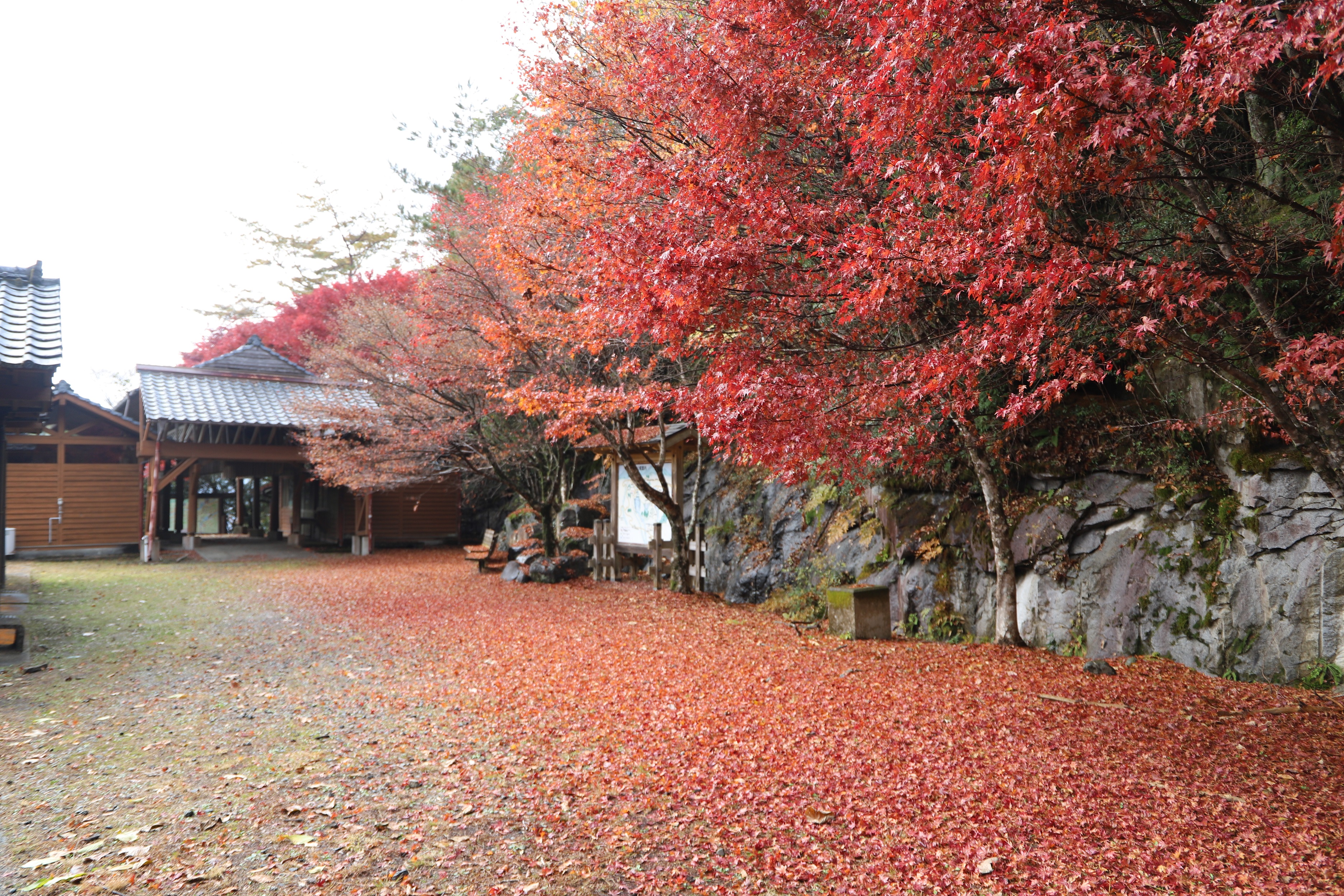R7.11.25白水公園駐車場（縮小）