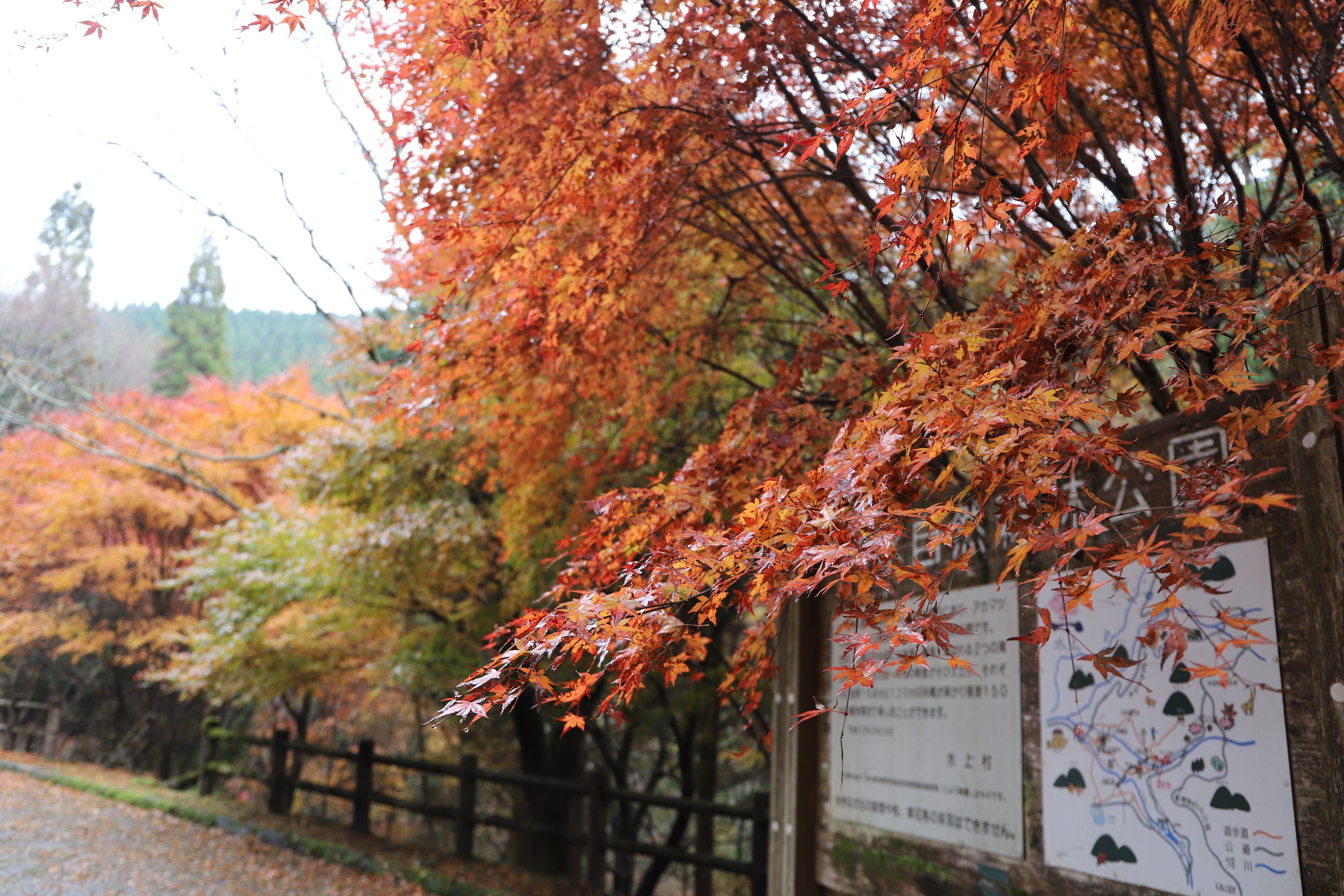R7.11.25駐車場（縮小）