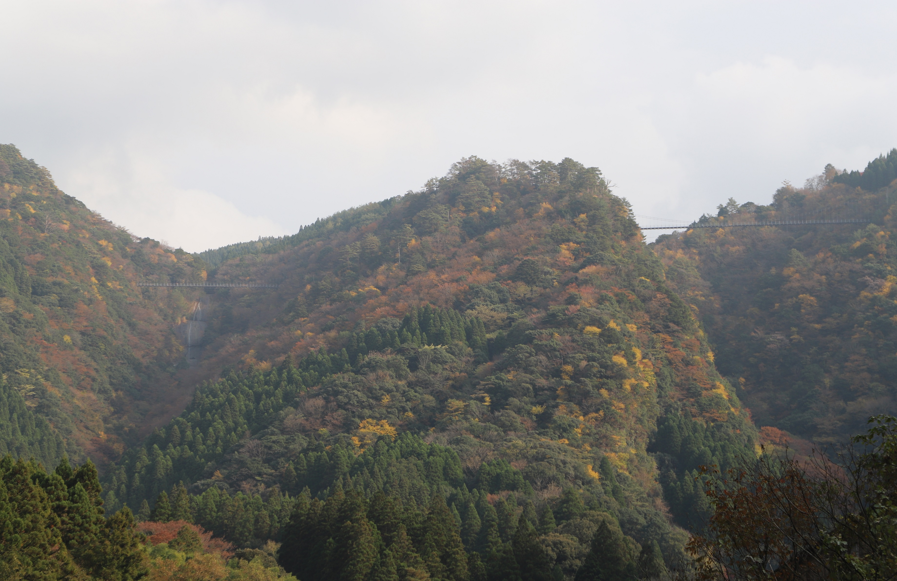 R7.11.25麓から（縮小）