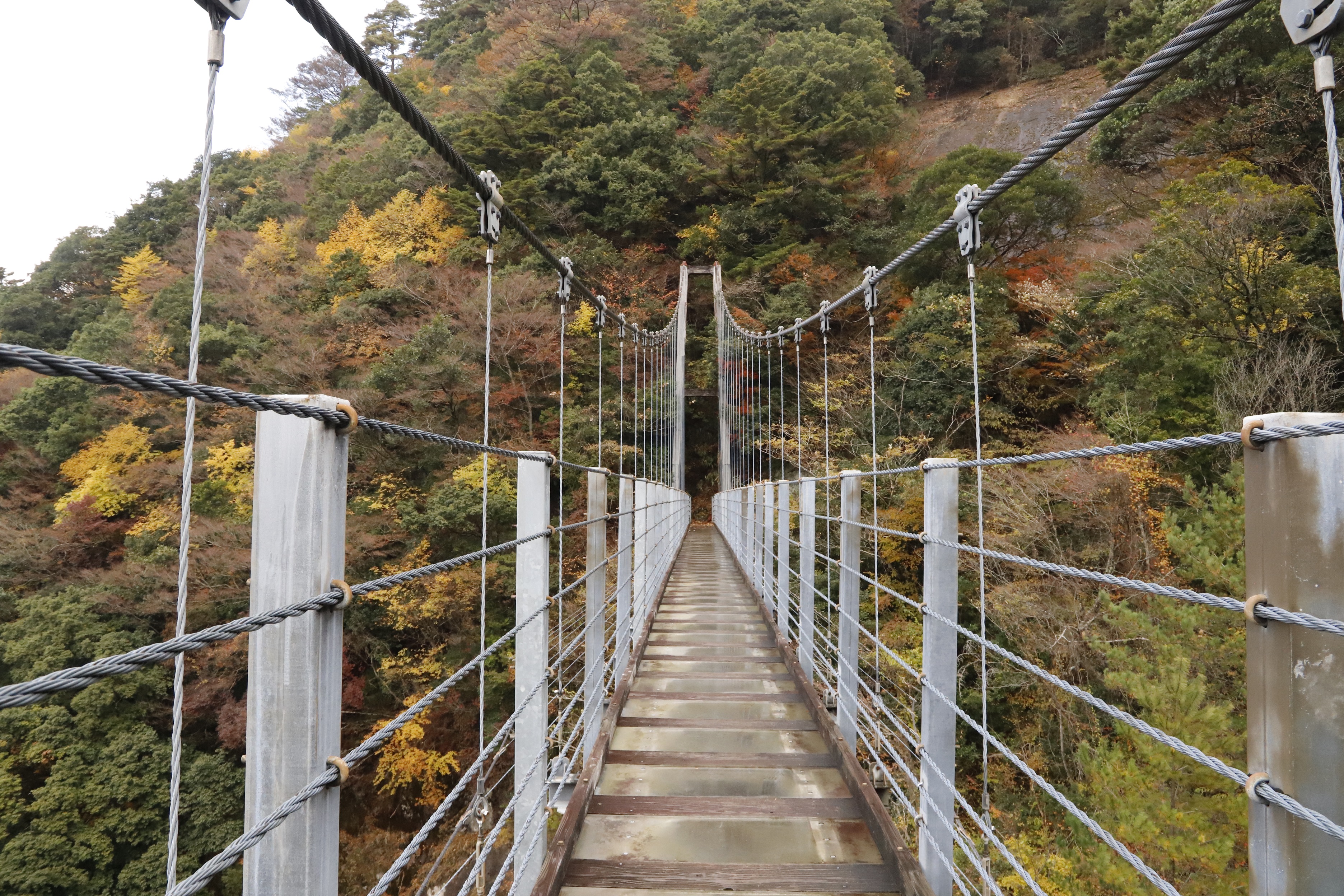 R7.11.25　白龍妃橋（縮小）