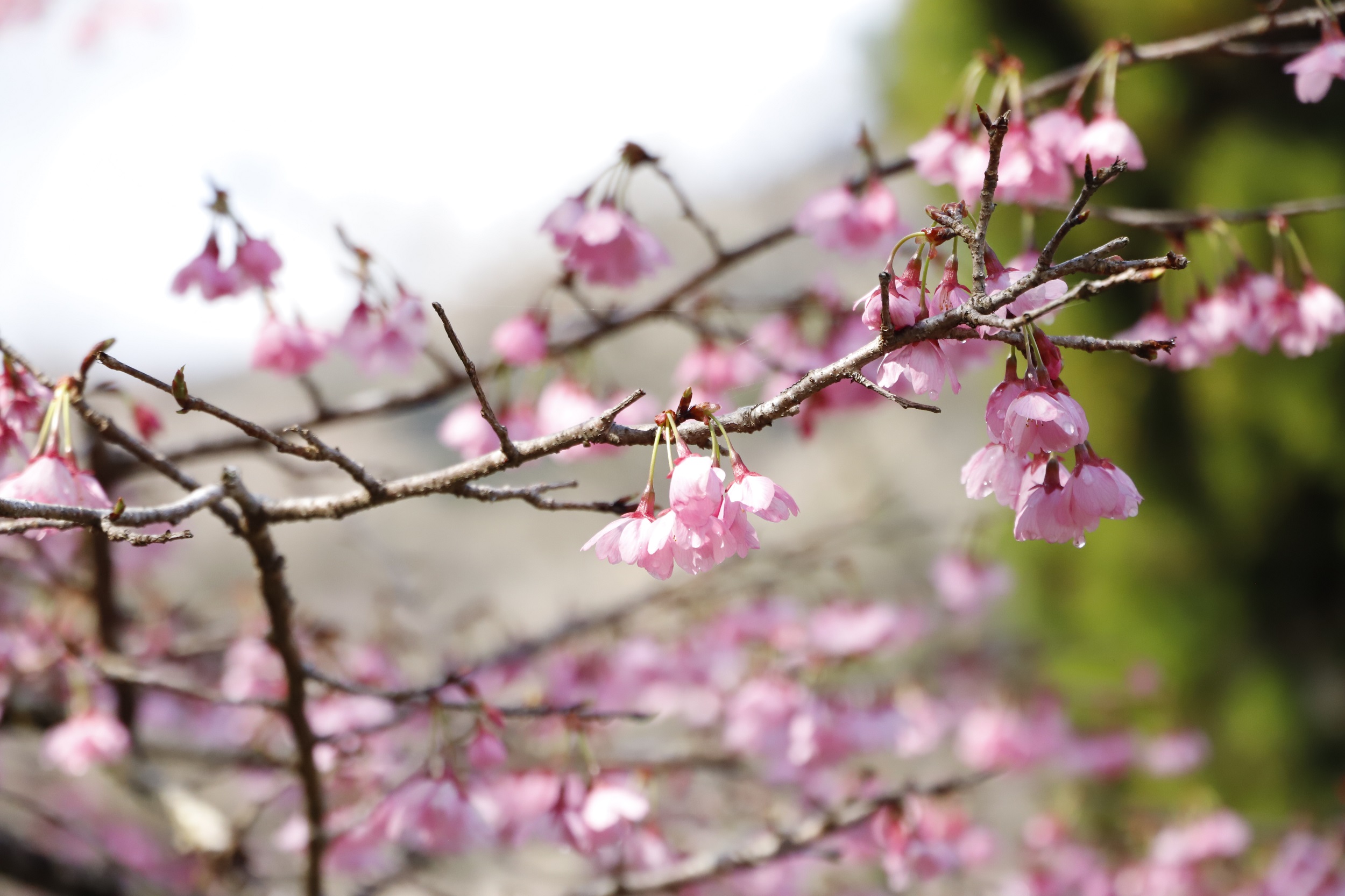 2026.3.19　雅アップ