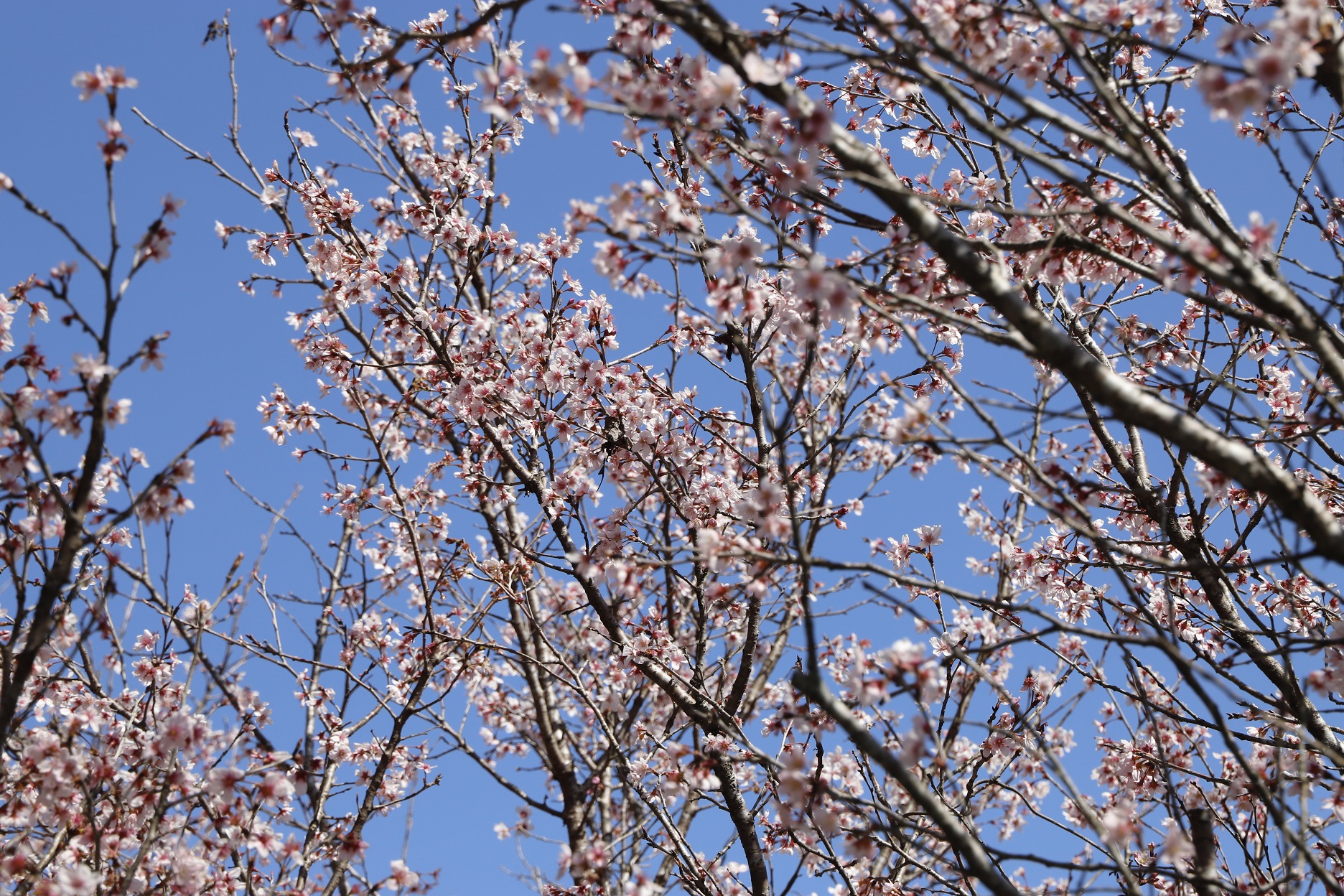 20260310国道388アップ