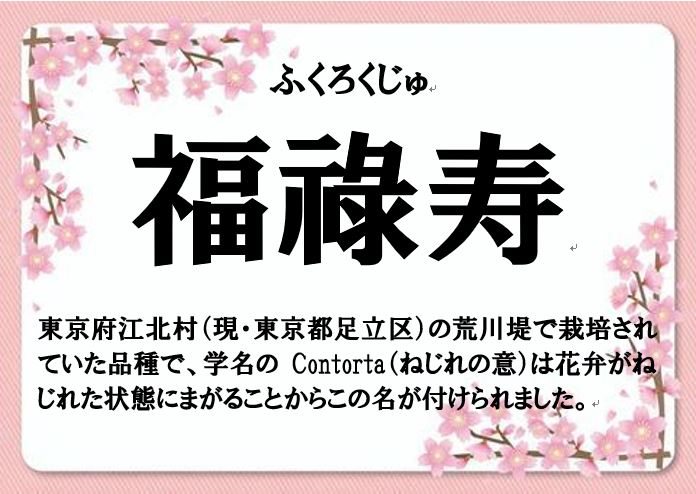 福禄寿
