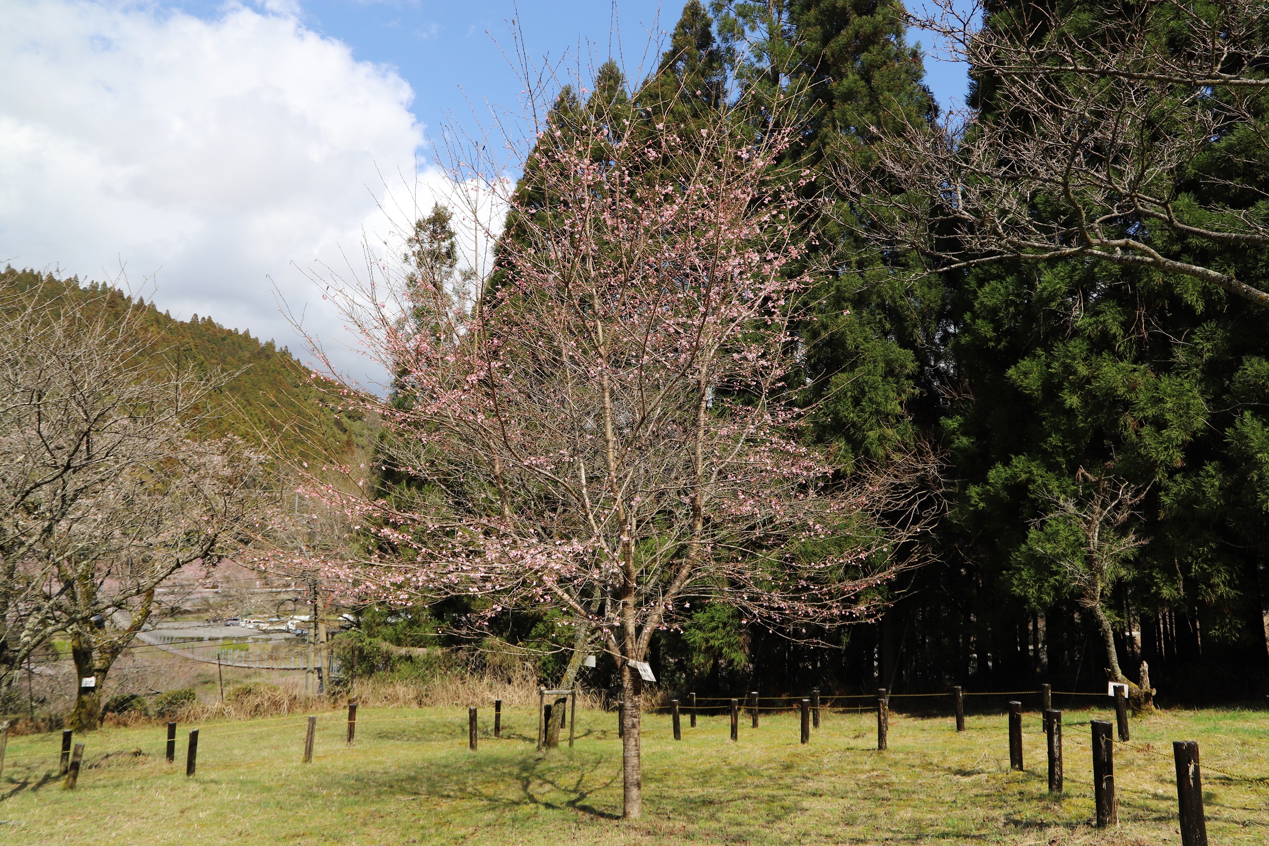 2026.3.19　永源寺全体