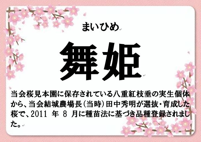 舞姫