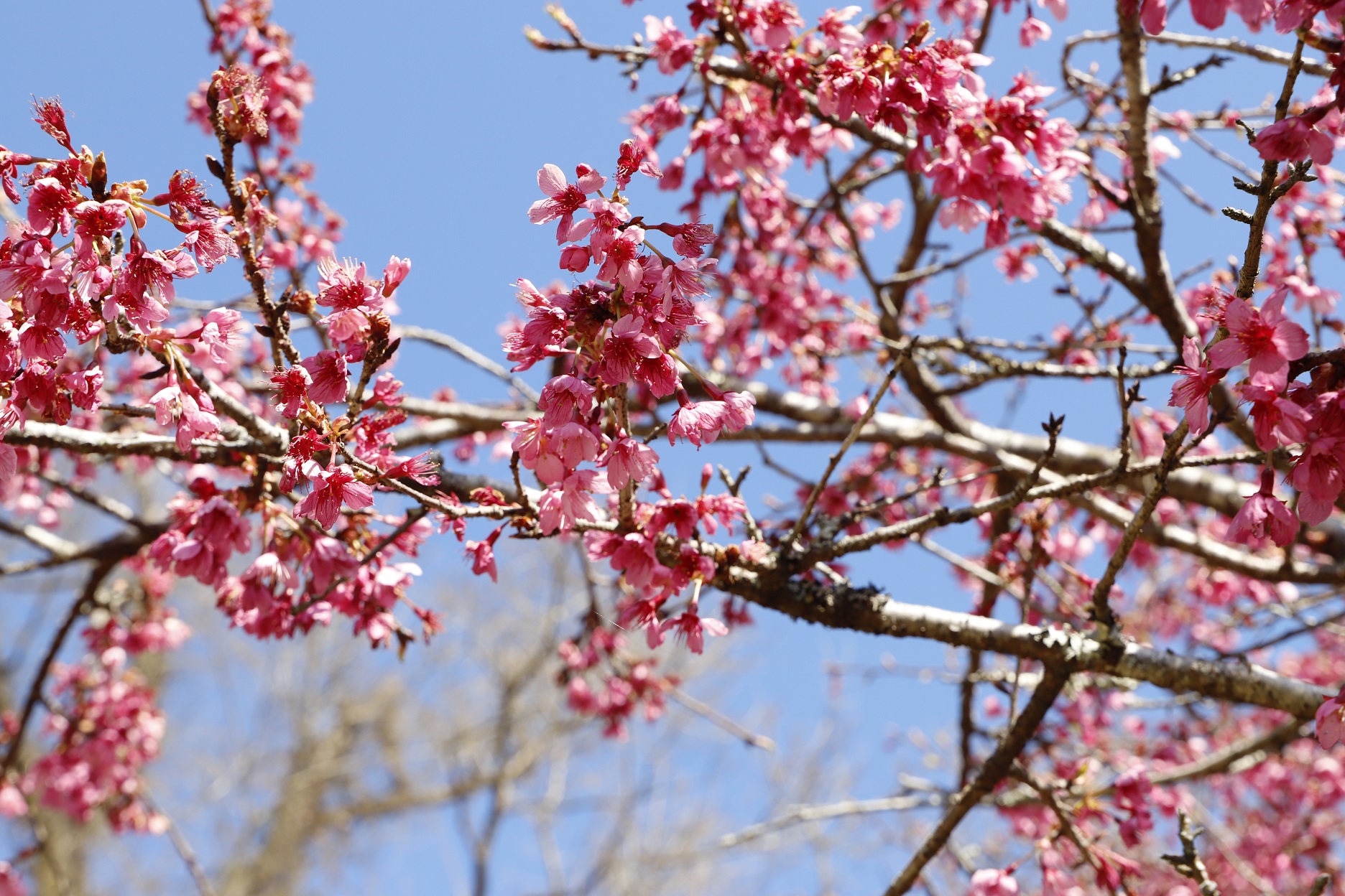 20260310ニチナンカンザキアップ