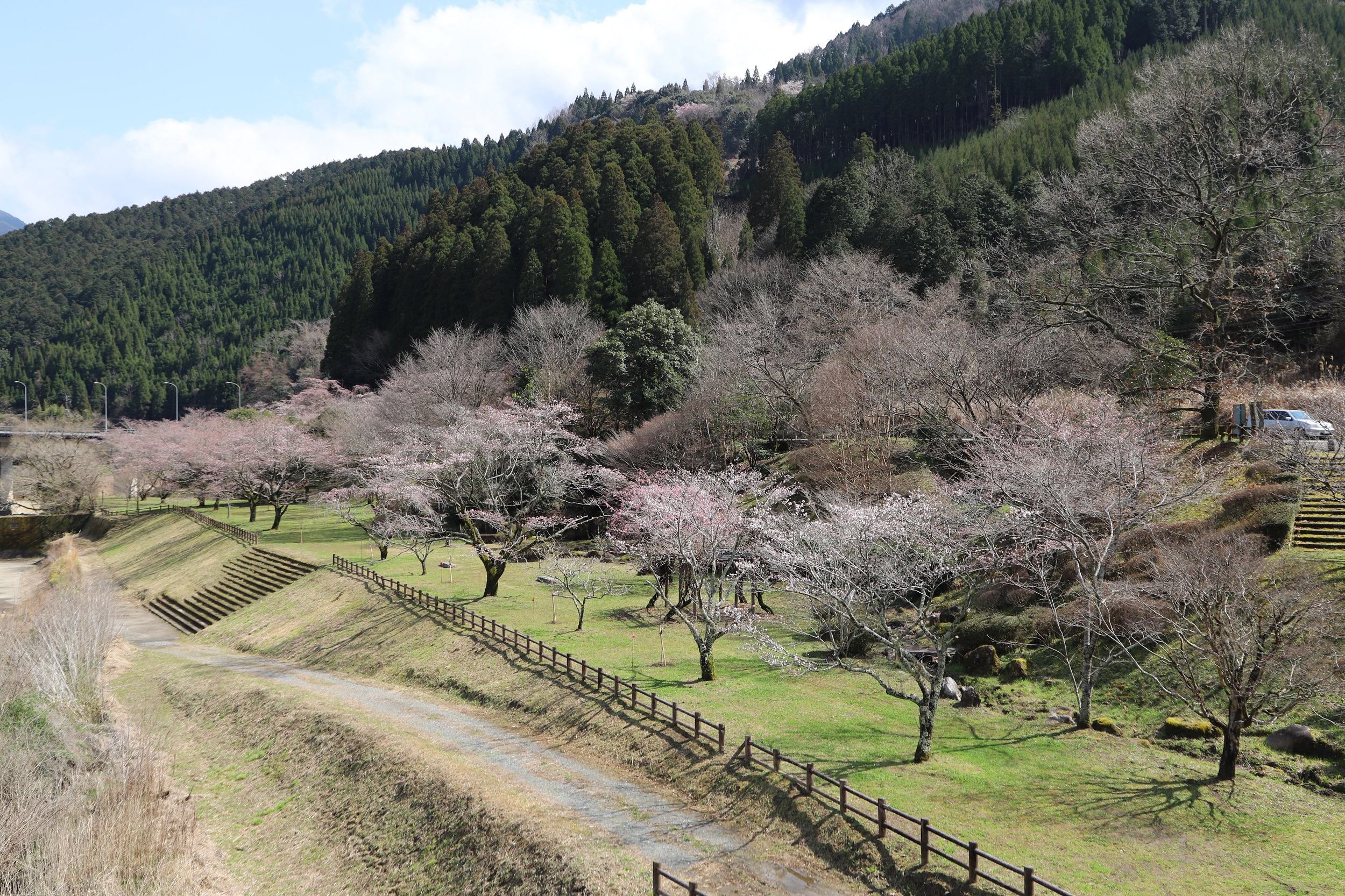 2026.3.19　親水公園　橋から