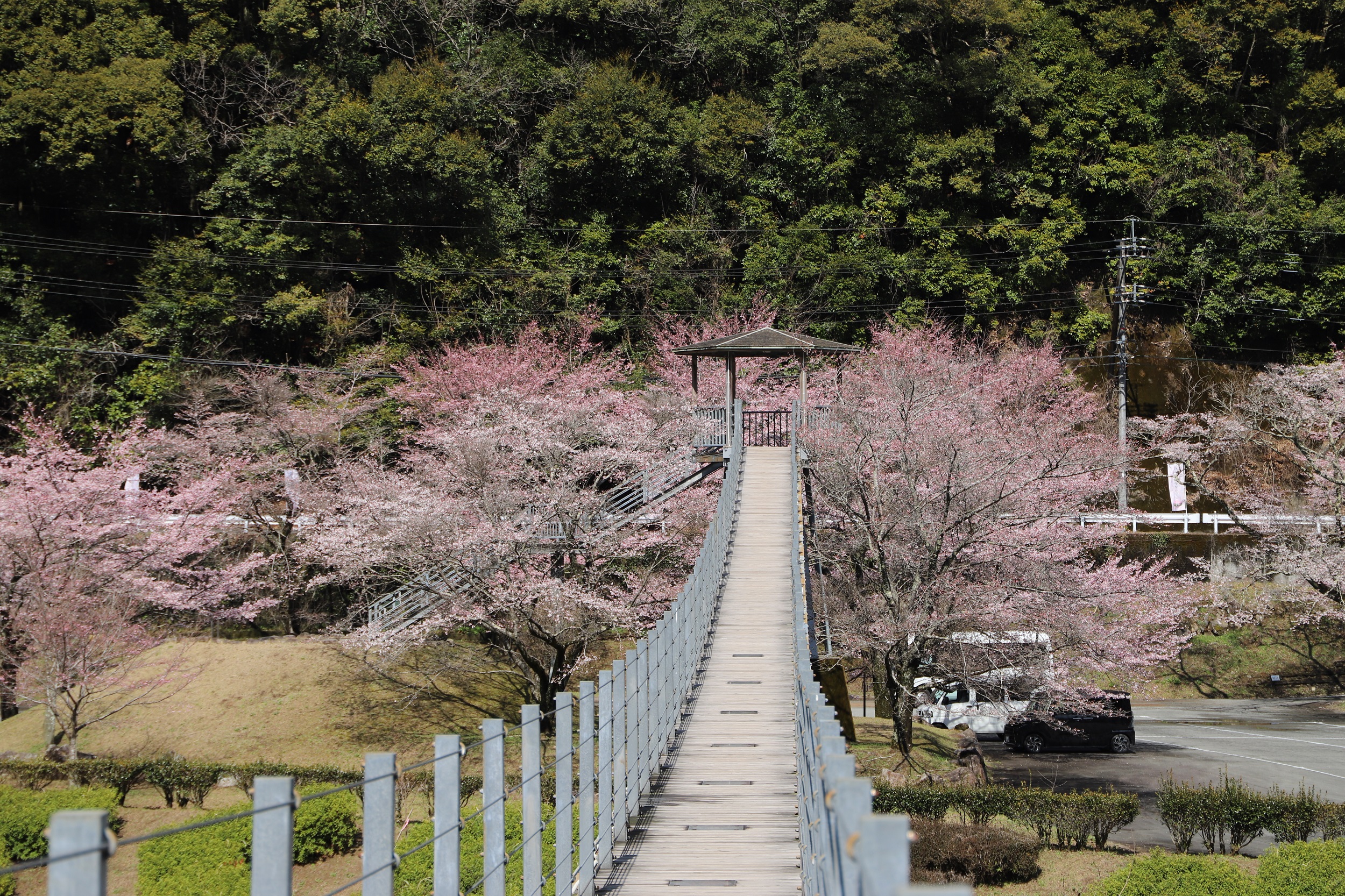 2026.3.19　親水公園