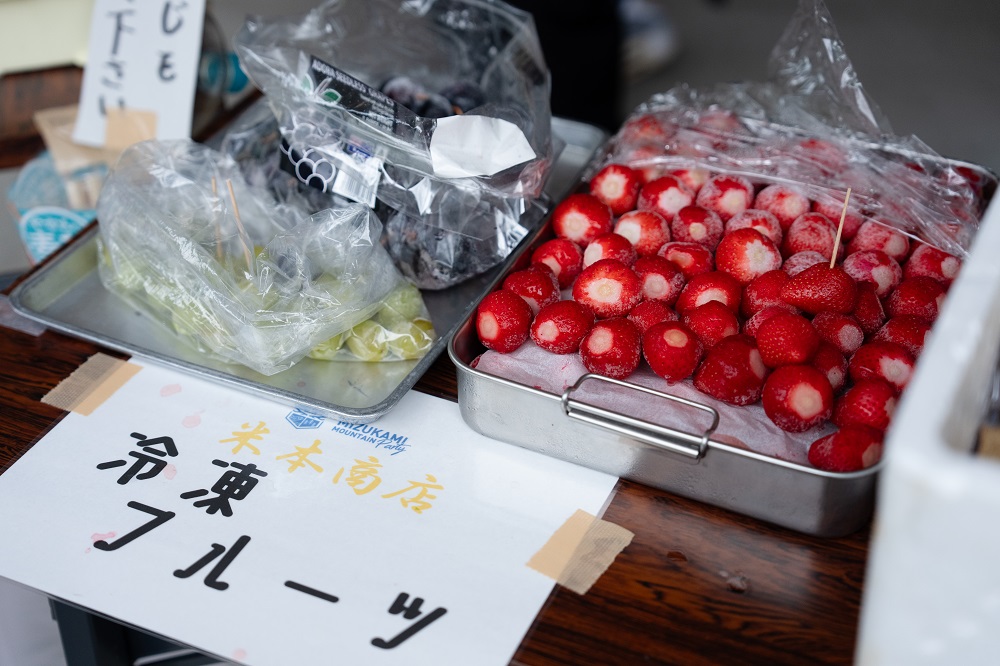 mmp_2026_0374