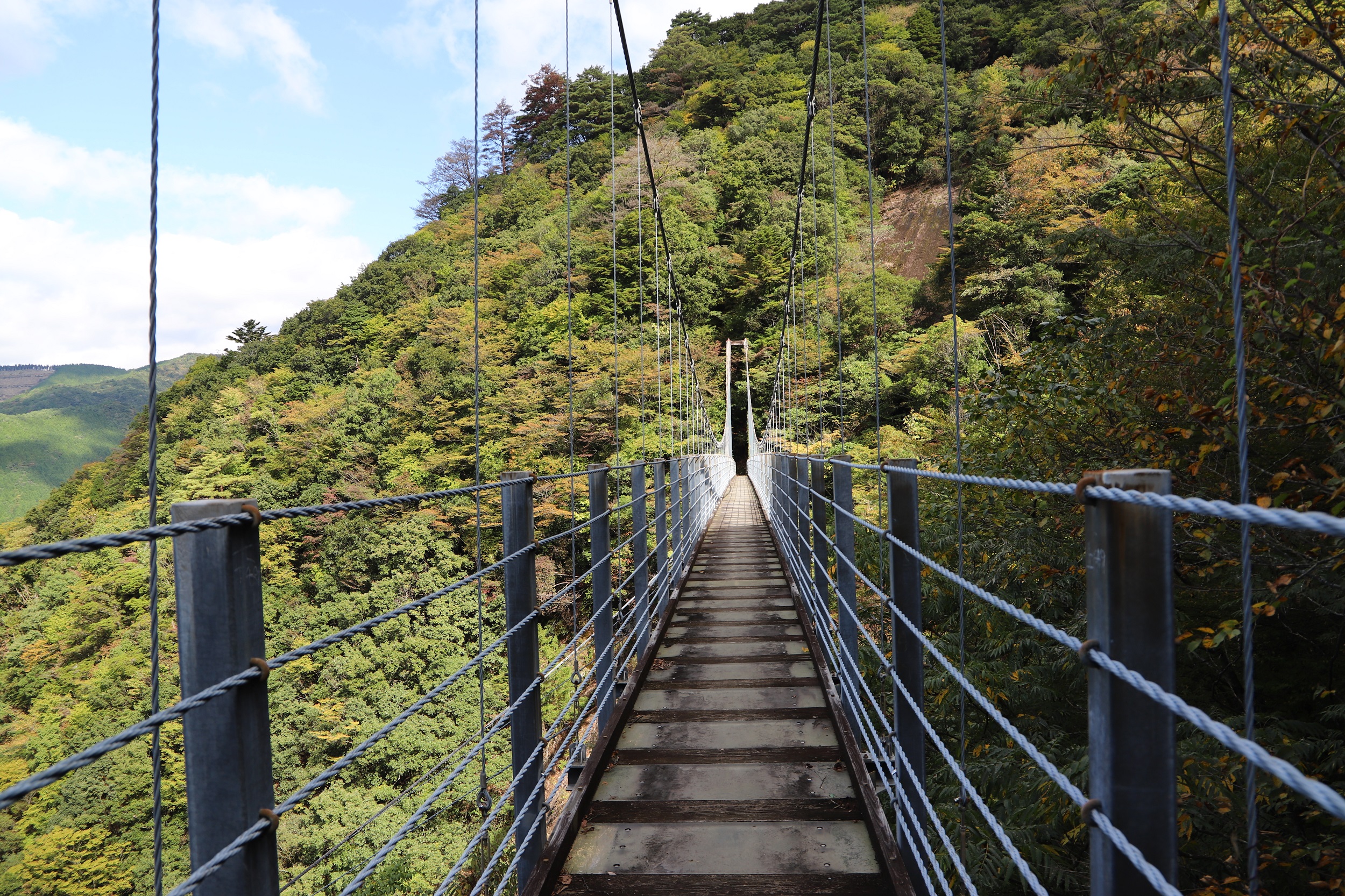 IMG_2368縮小