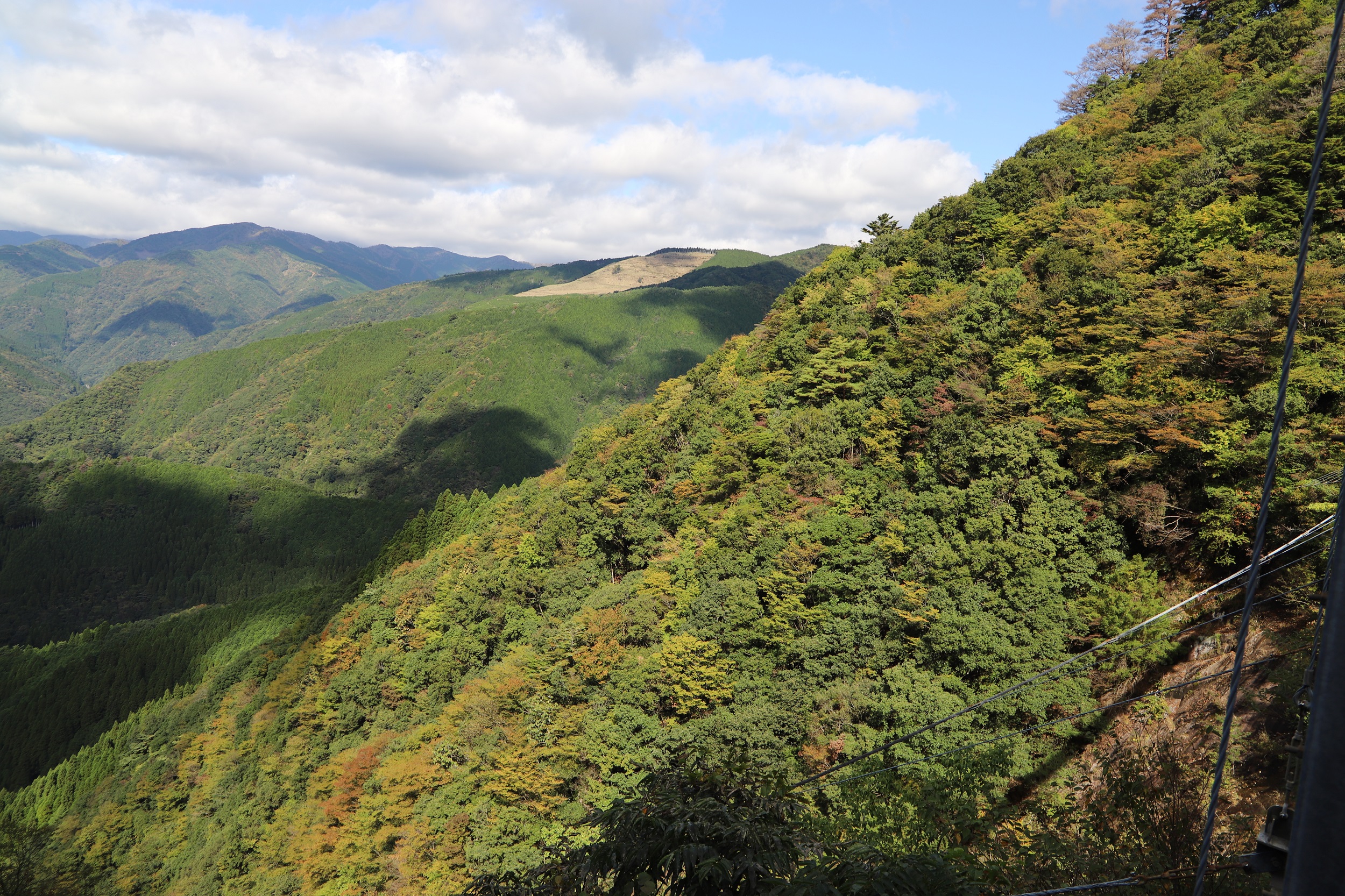 IMG_2365y縮小
