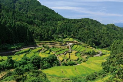 tanada